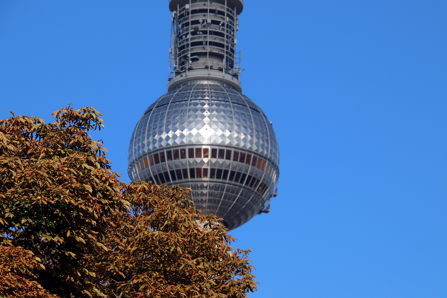 IMG_2206_1440x960