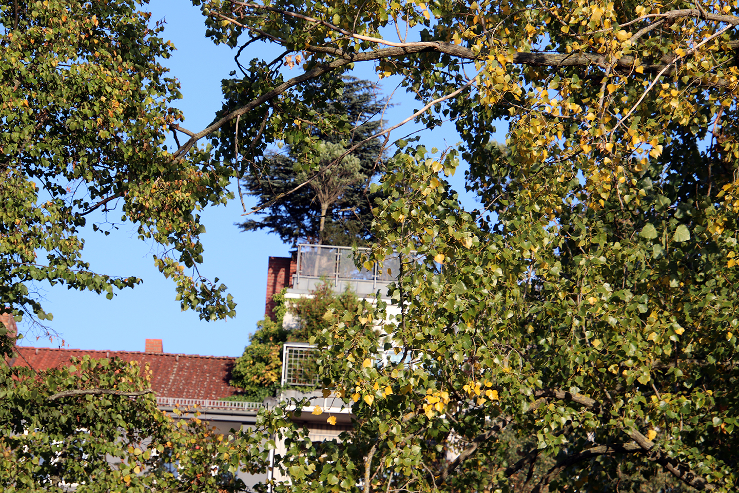 IMG_2380_1440x960