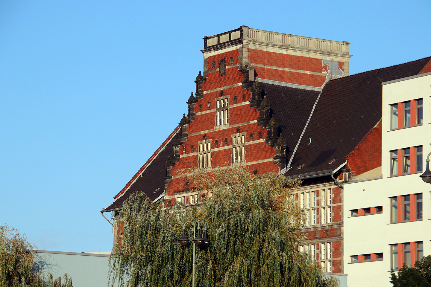 IMG_2515_1440x960