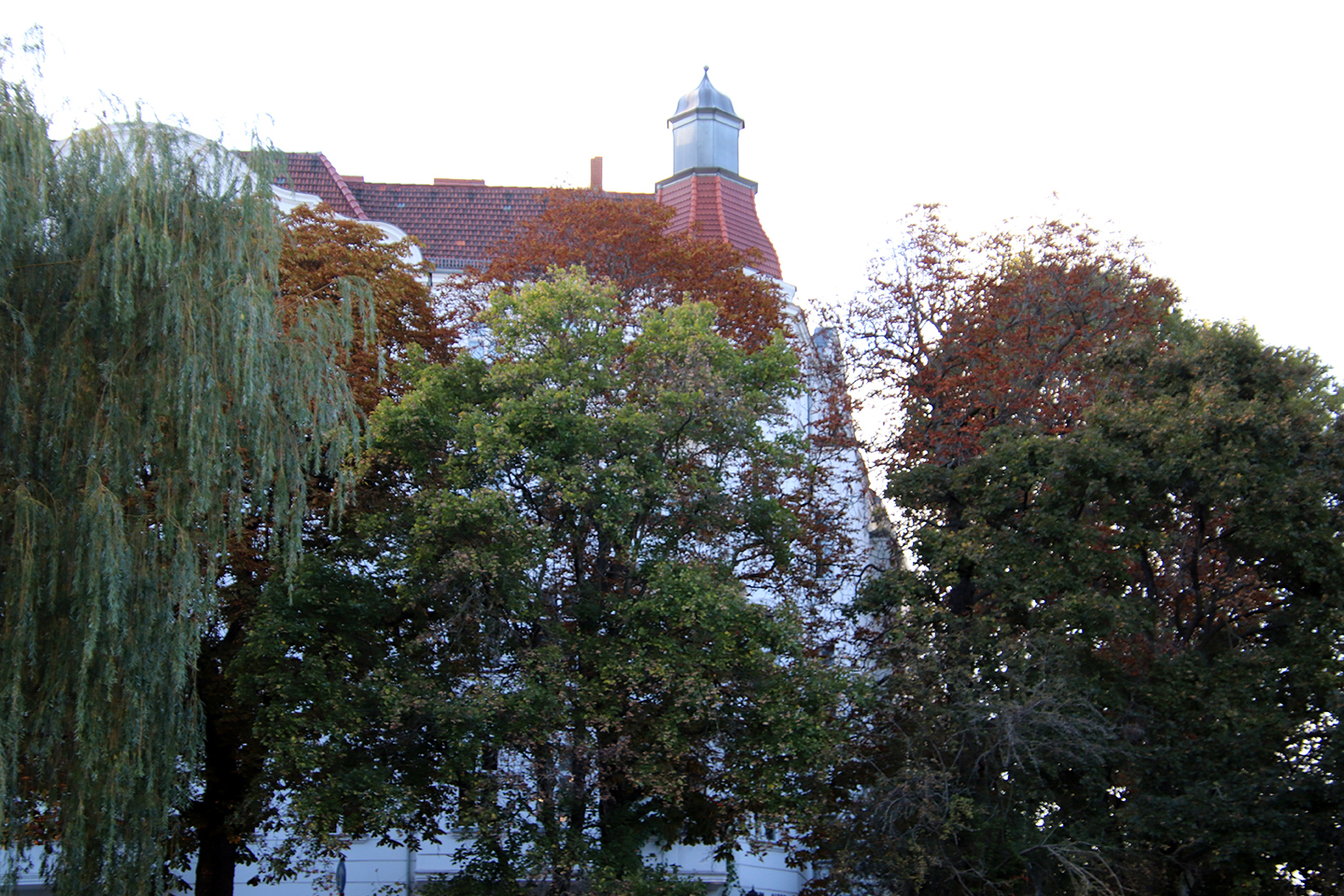 IMG_2527_1440x960