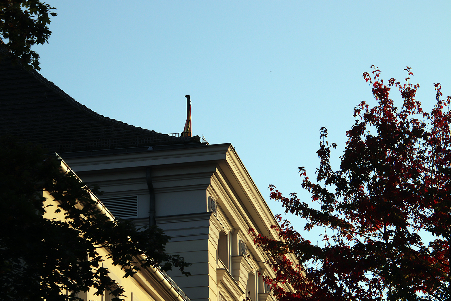 IMG_2575_1440x960