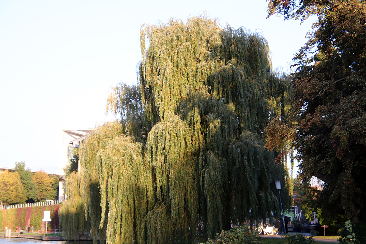 IMG_2597_1440x960