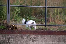 IMG_2290_1440x960