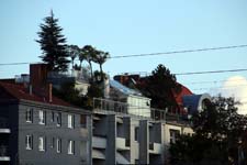 IMG_2375_1440x960