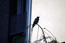 IMG_2496_1440x960