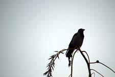 IMG_2498_1440x960