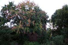 IMG_2566_1440x960