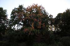 IMG_2567_1440x960
