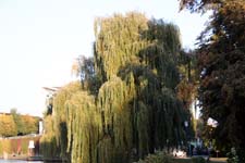 IMG_2597_1440x960