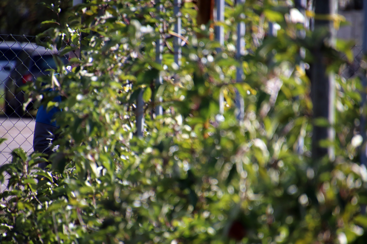 IMG_2847_1440x960
