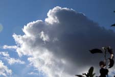 IMG_2843_1440x960