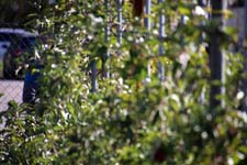 IMG_2847_1440x960
