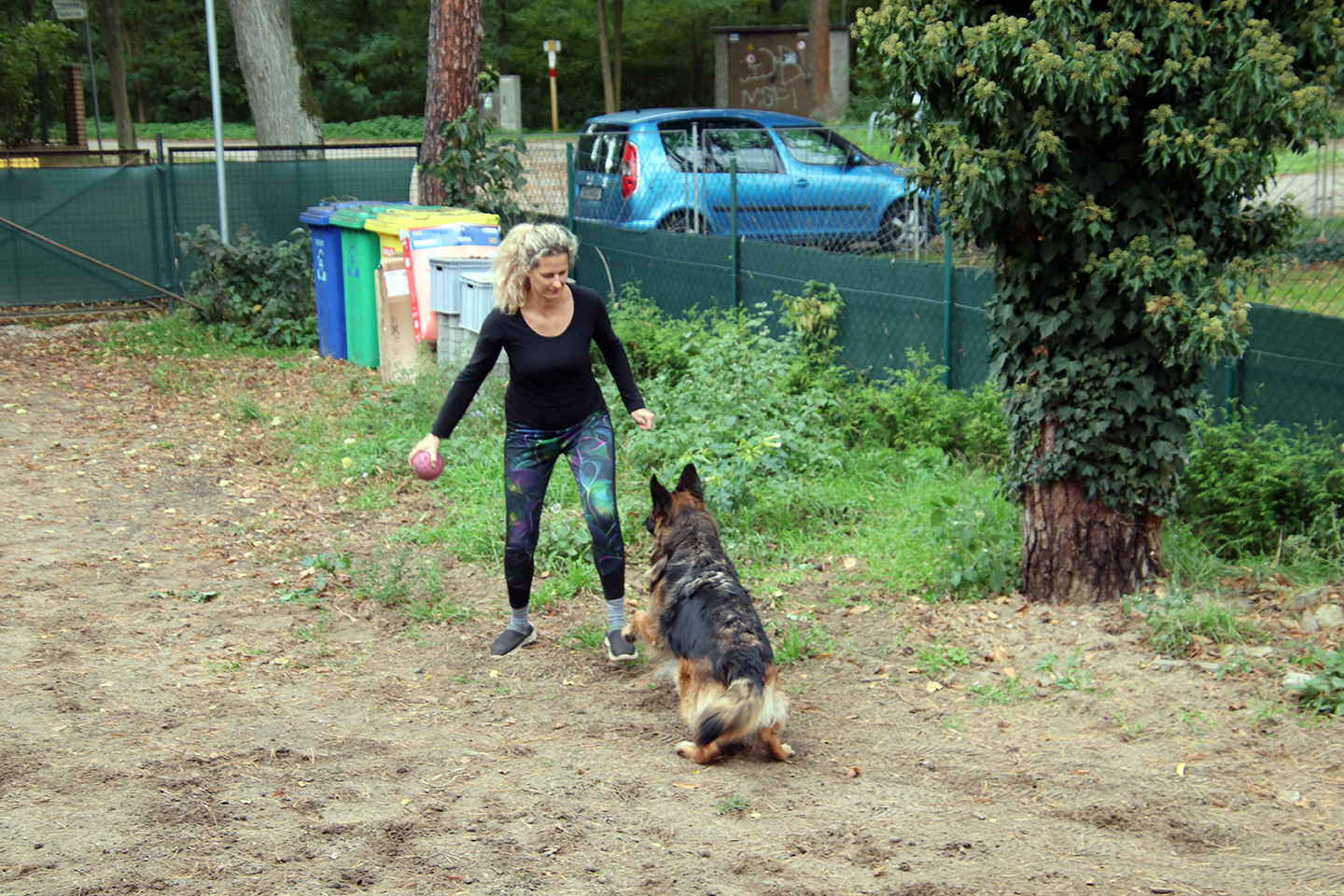IMG_3782_1440x960