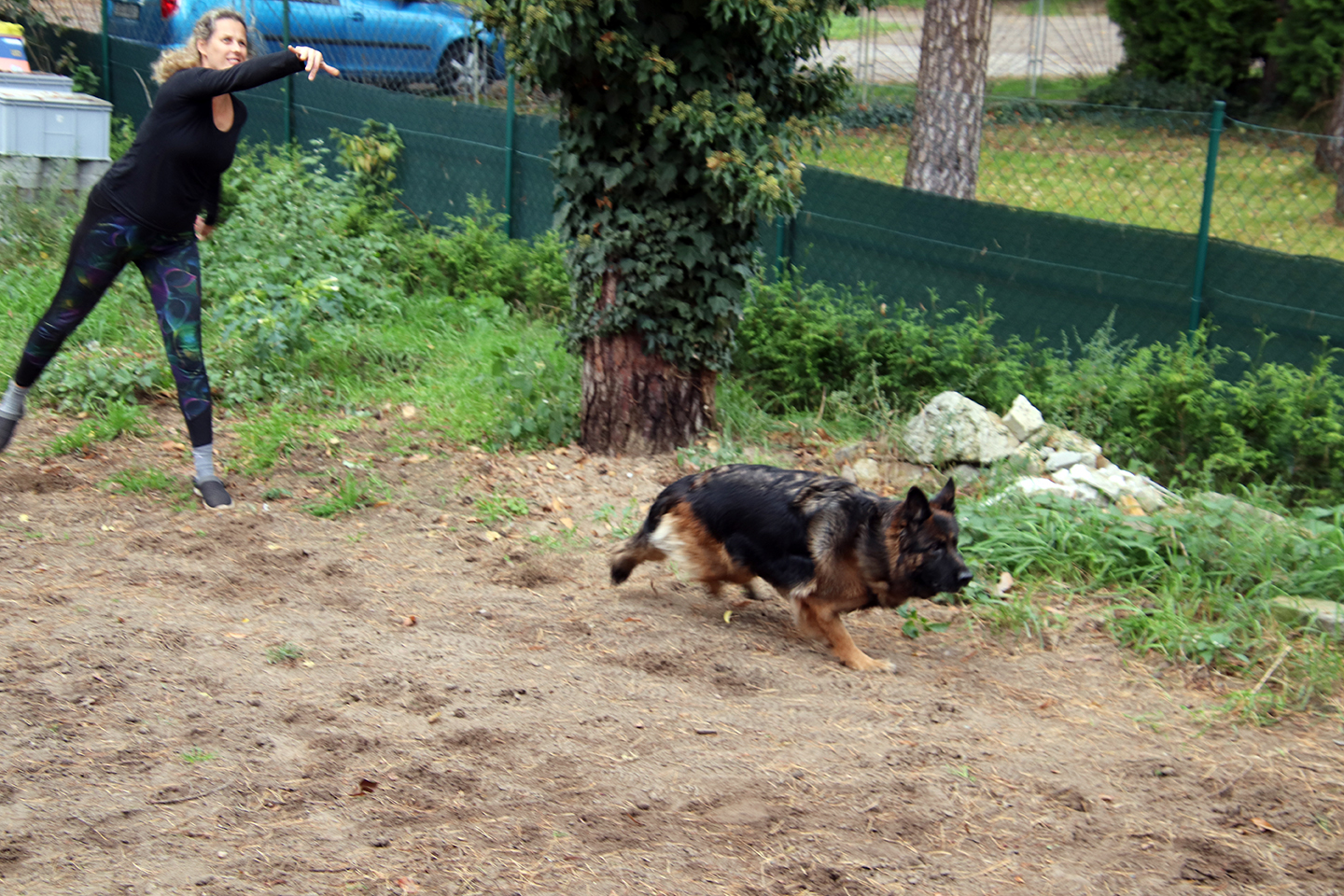 IMG_3783_1440x960