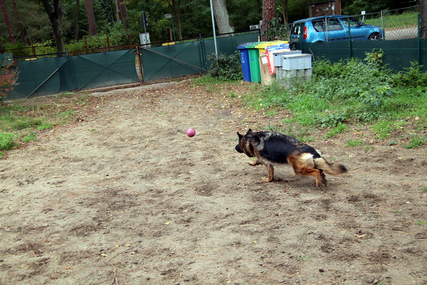 IMG_3825_1440x960