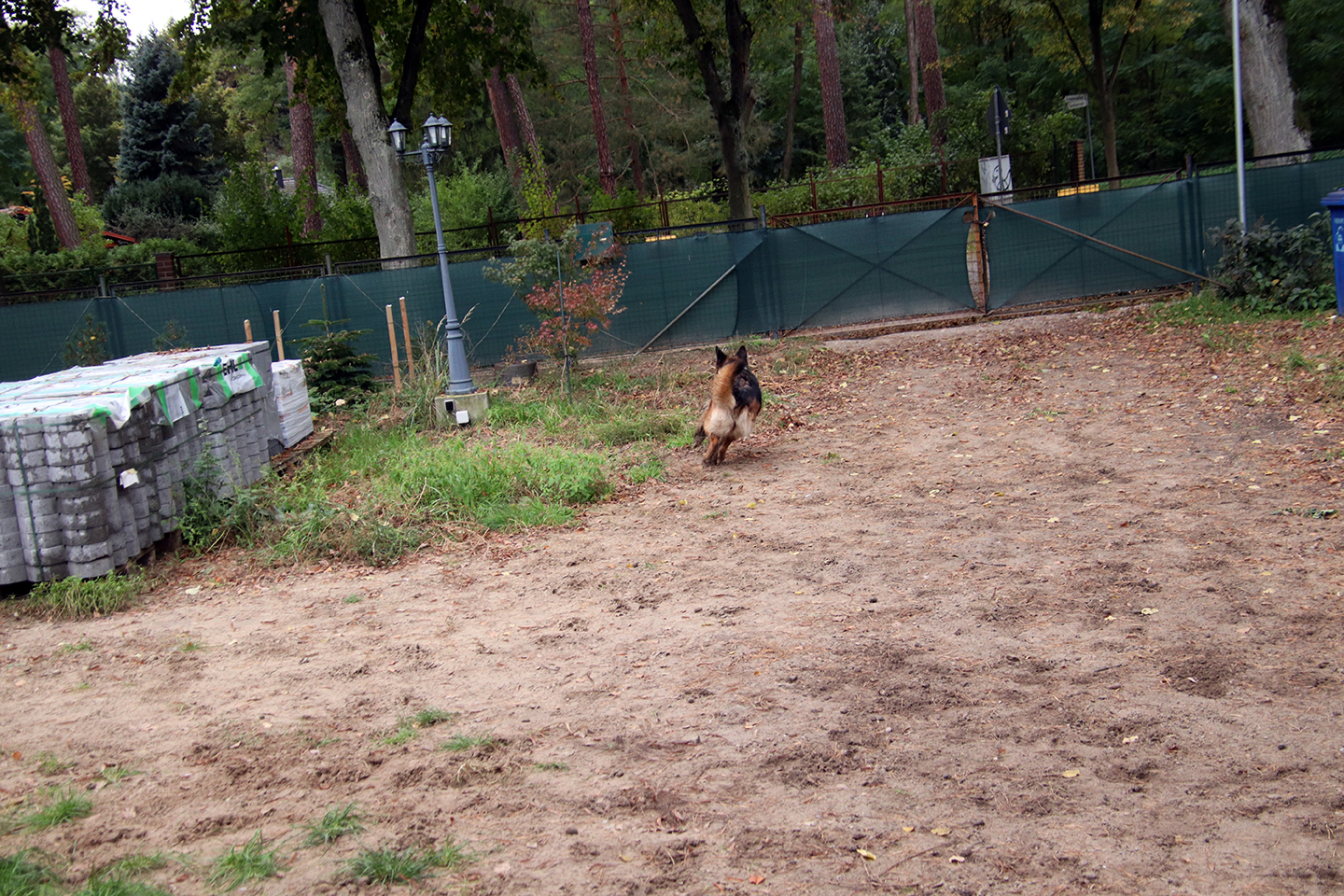 IMG_3828_1440x960