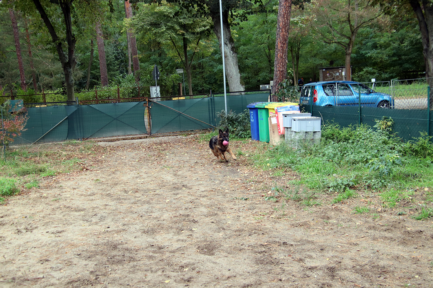 IMG_3832_1440x960