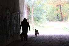 IMG_3671_1440x960