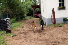 IMG_3779_1440x960