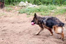 IMG_3814_1440x960