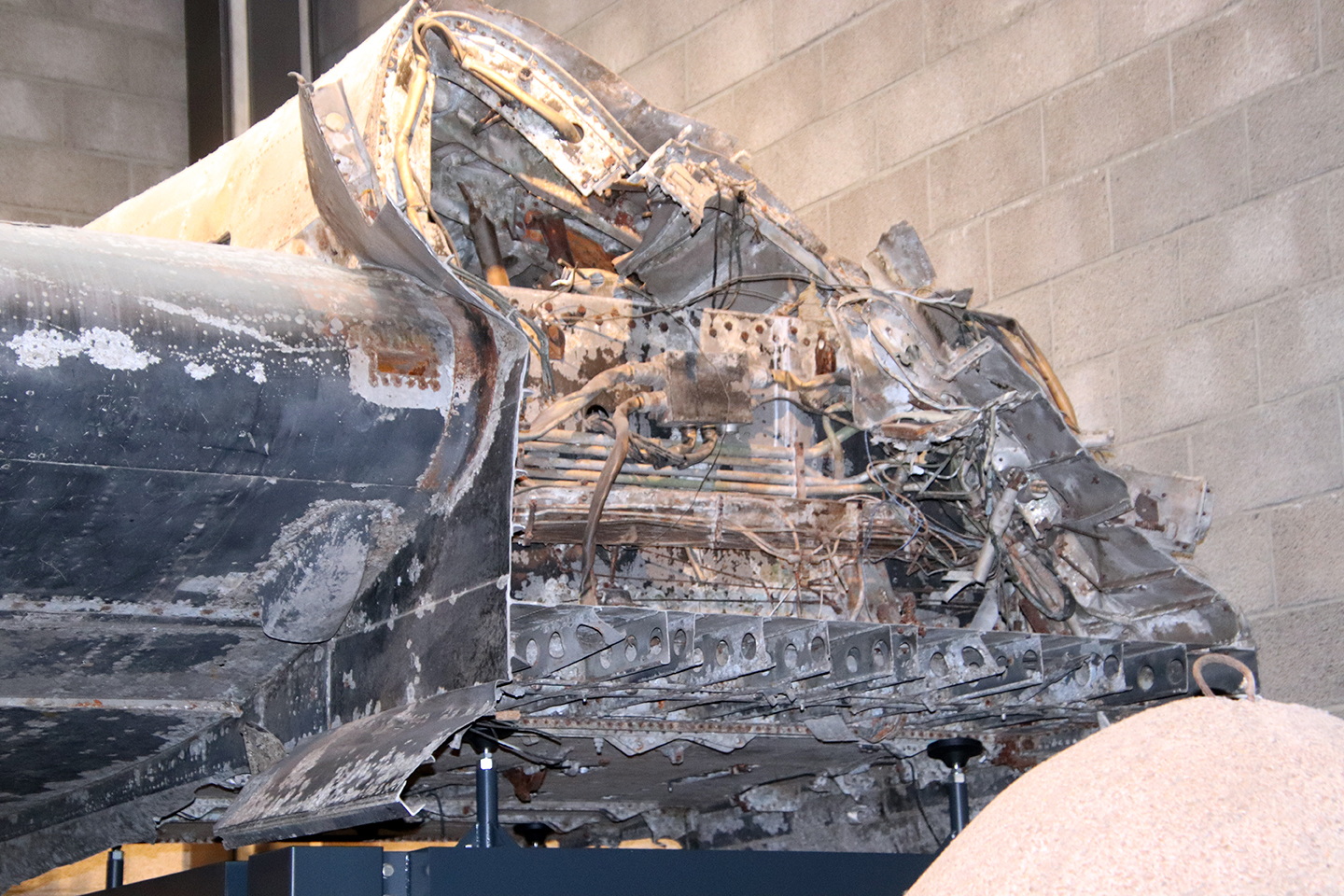 IMG_7221_1440x960