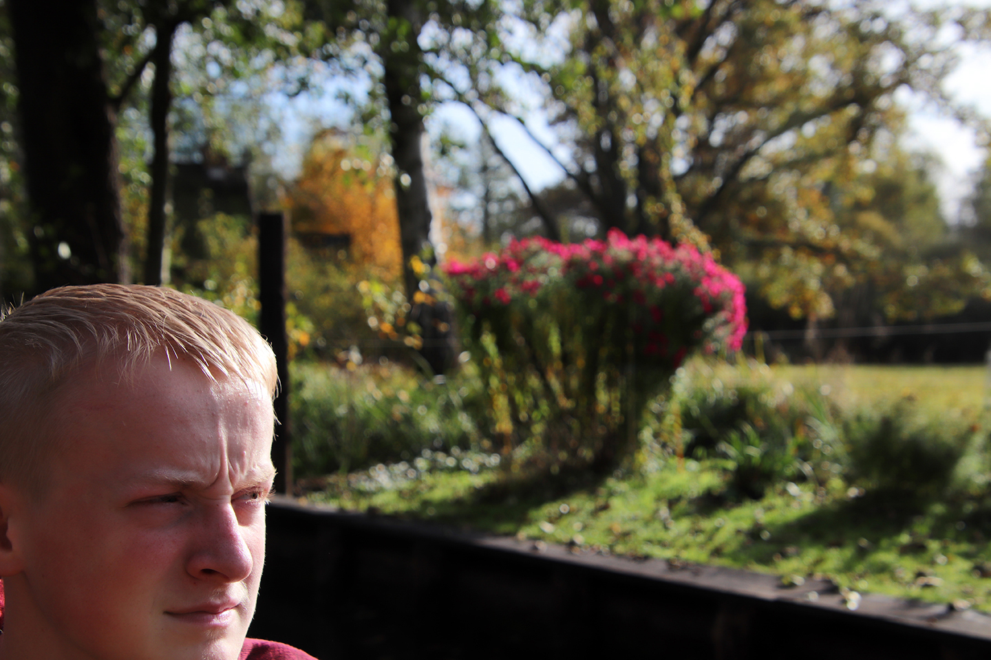 IMG_7445_1440x960