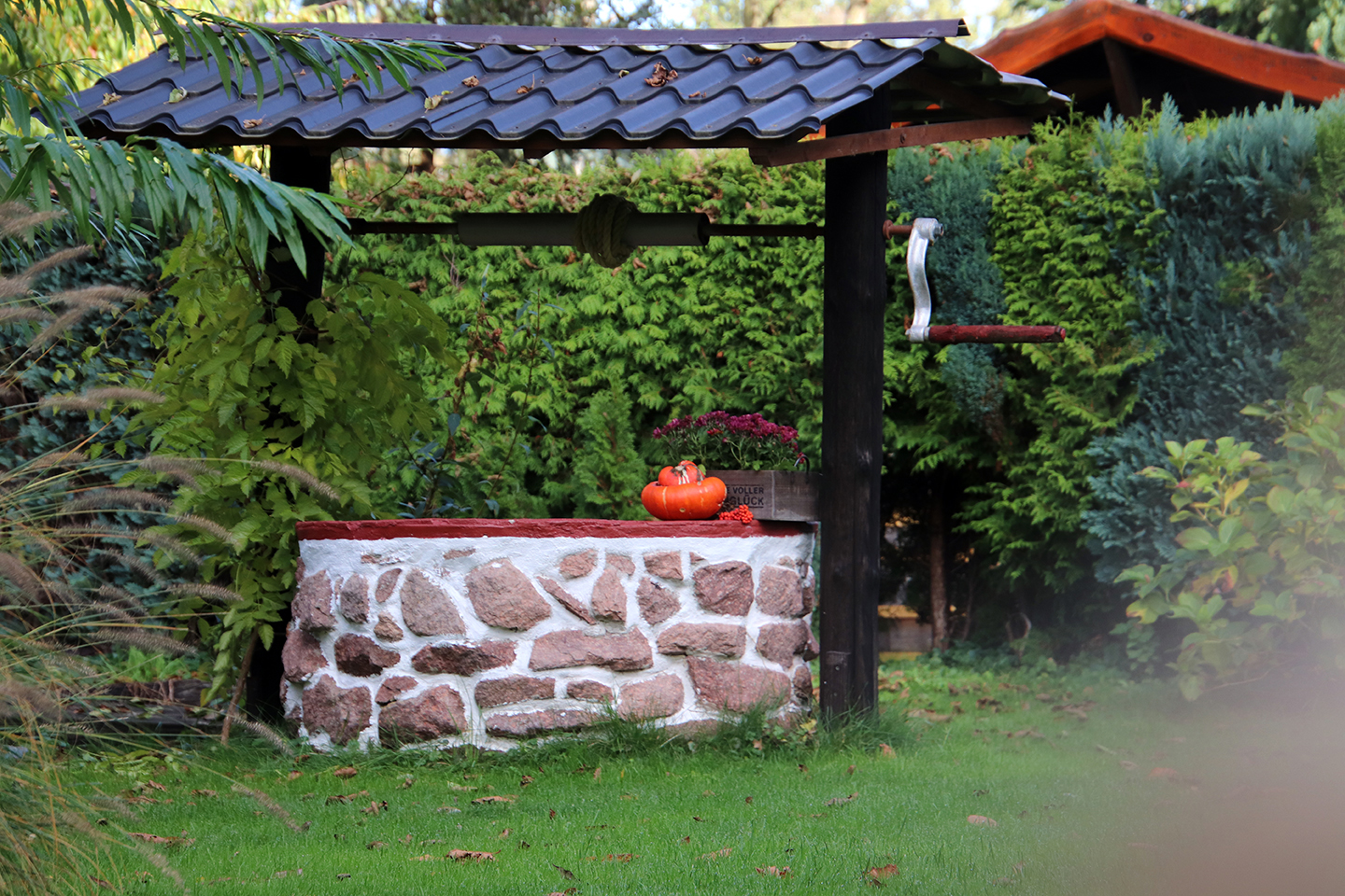 IMG_7490_1440x960