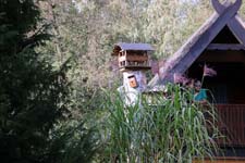 IMG_7338_1440x960