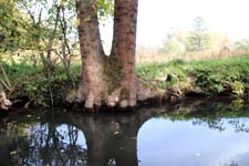 IMG_7373_1440x960