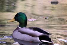 IMG_7400_1440x960