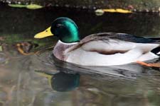IMG_7412_1440x960