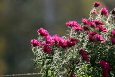 IMG_7449_1440x960