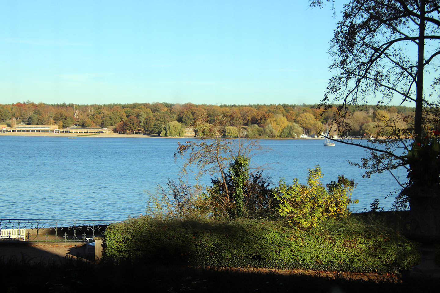 IMG_8302_1440x960
