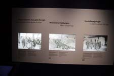 IMG_8293_1440x960
