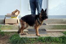IMG_8554_1440x960
