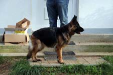 IMG_8555_1440x960