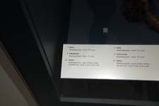IMG_9748_1440x960